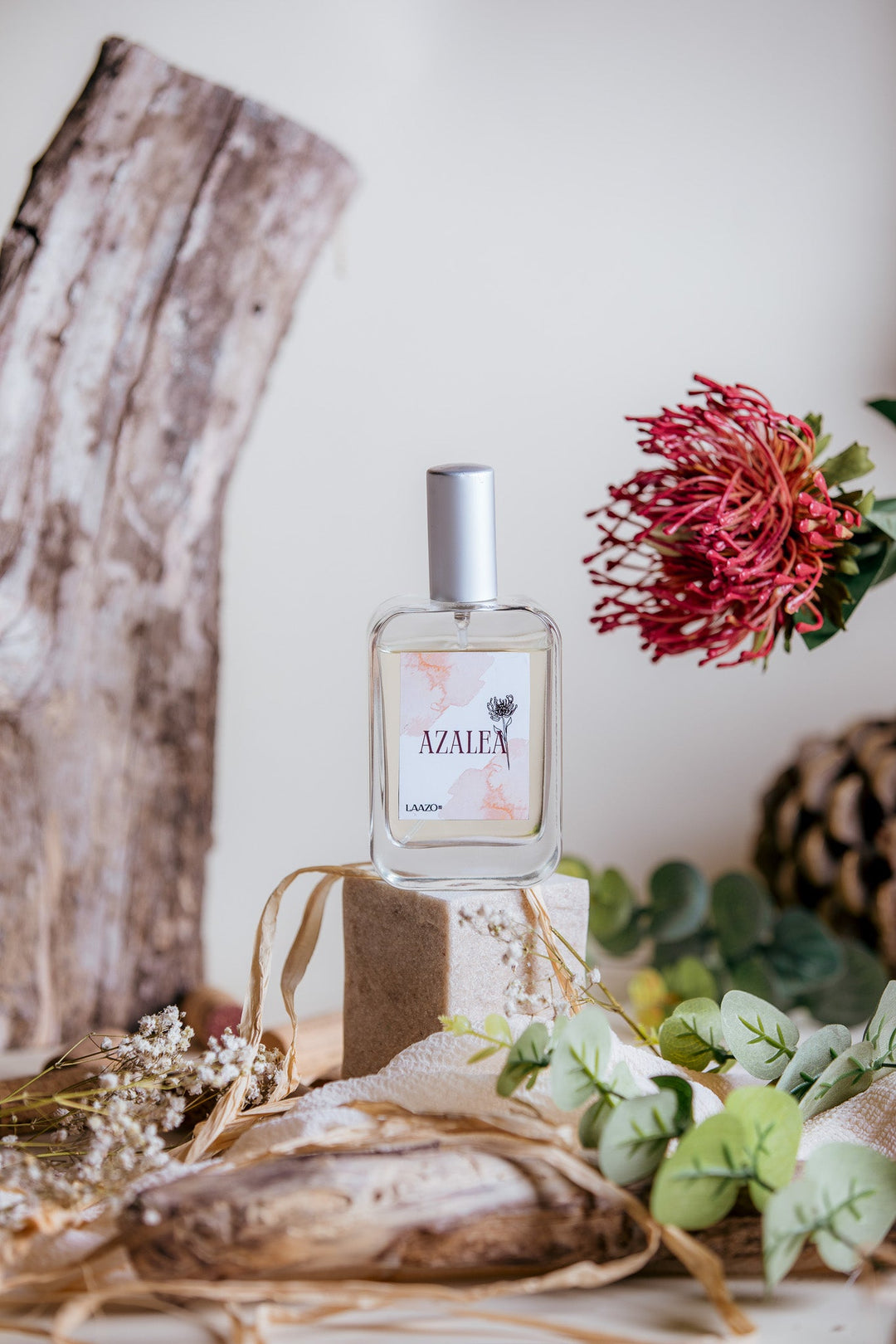 Perfume Azalea 🌱