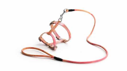 PawLuxe ComfortFit Kattenharnas met Riem