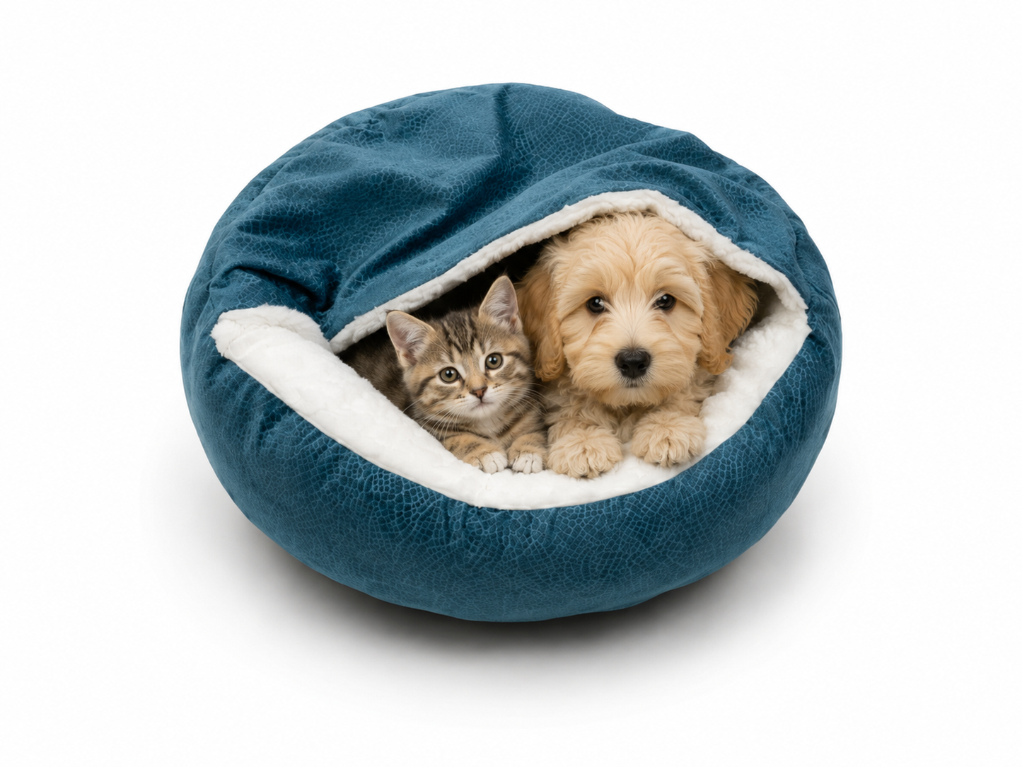 PawLuxe hondenbed – ideaal voor oudere honden met gewrichtsproblemen