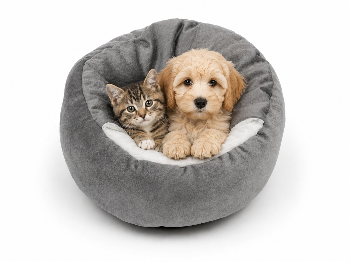 PawLuxe orthopedisch hondenbed in grijs – past in elk interieur