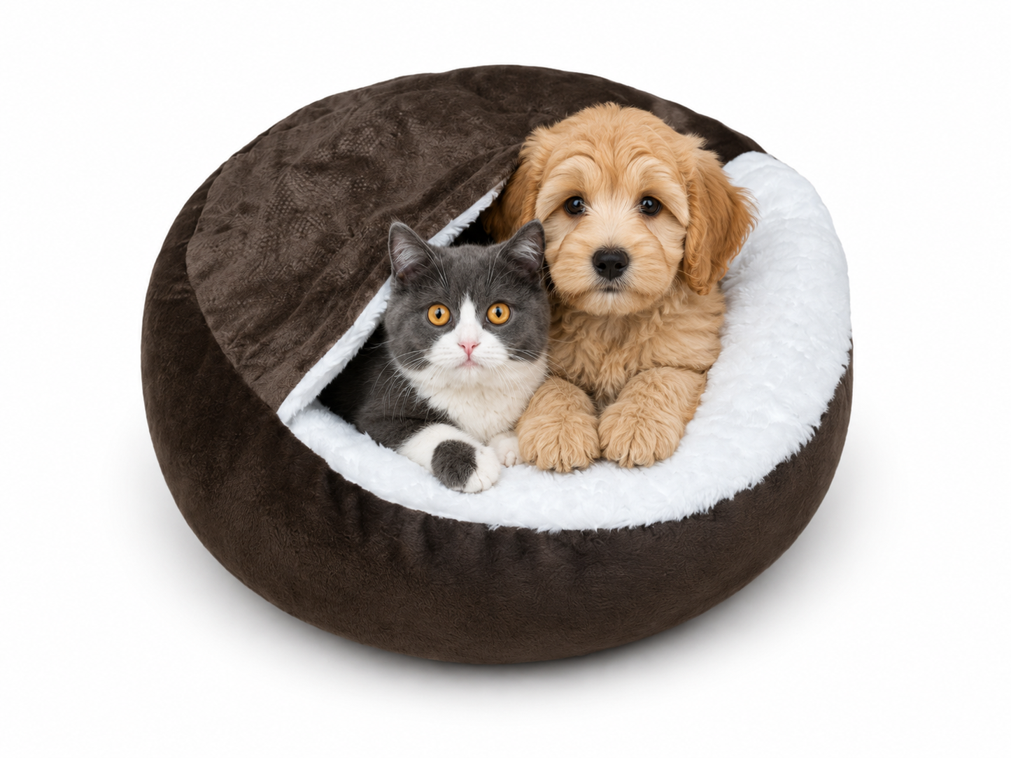 Hond & kat liggend op PawLuxe orthopedisch hondenbed