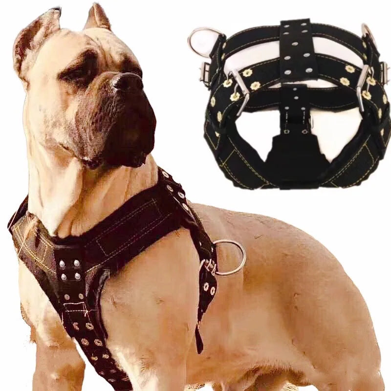 Premium no-pull hondentuigje in zwart – comfortabel en veilig voor honden