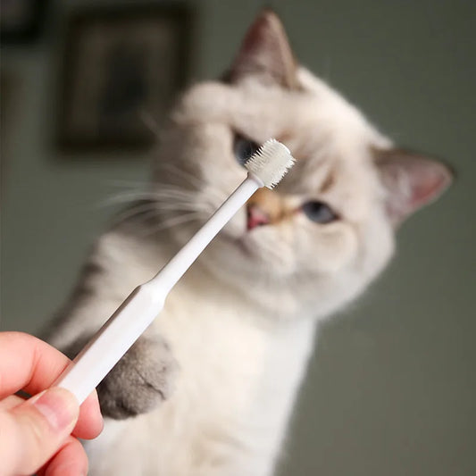 PawLuxe DentalCare Katten Tandenborstel